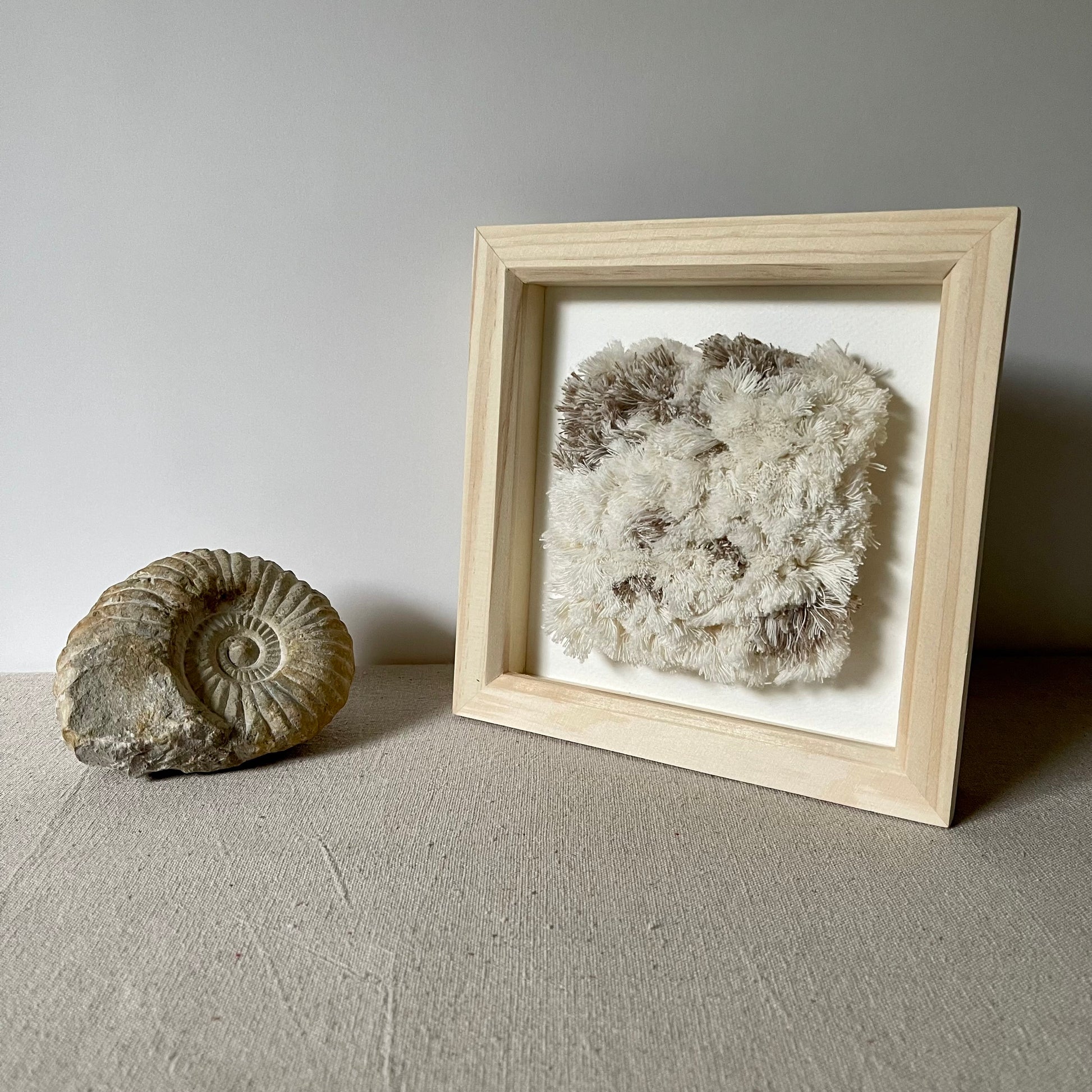 Angled view of cream and beige fluffy textured woven textile art in square natural wood deep box frame next to ammonite