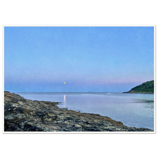 800d0476-a2f9-4b7d-8bbc-5bdf68824811