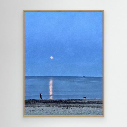Moonlit Dog Walk at Swanpool Canvas Print