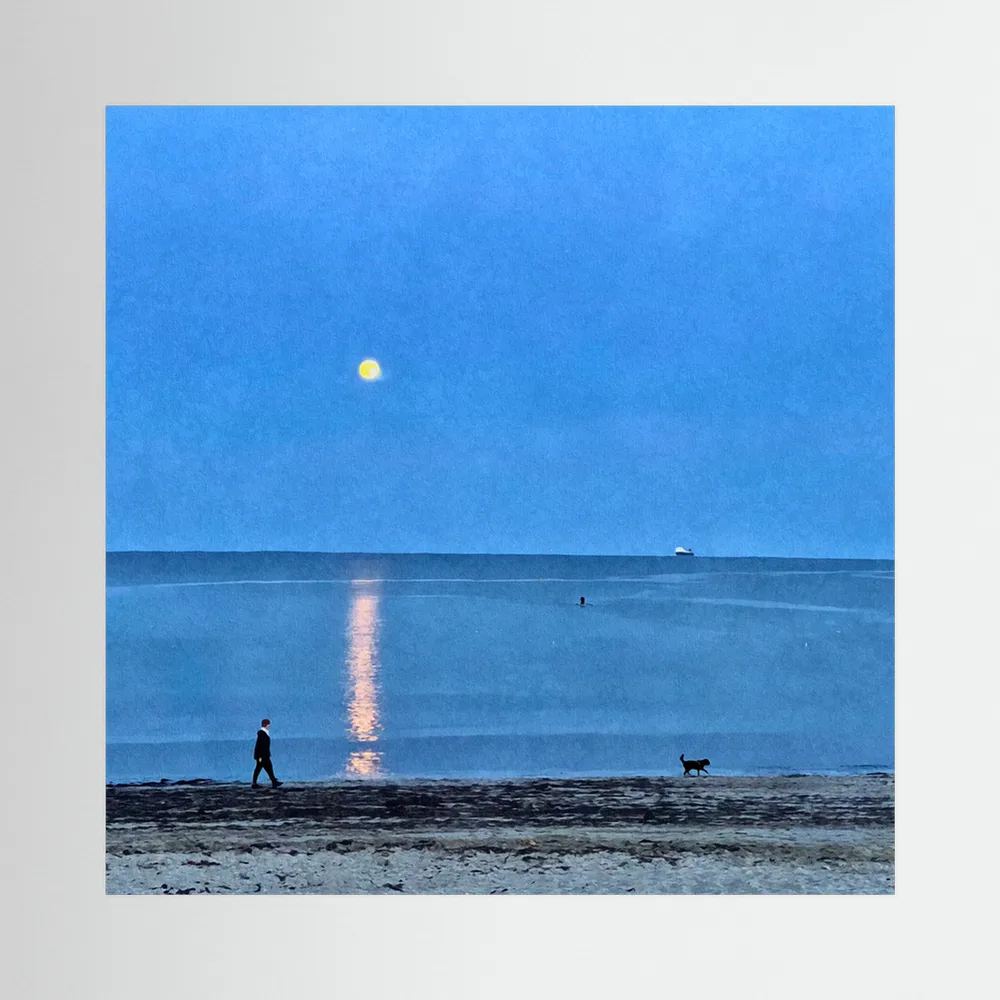 Moonlit Dog Walk Square Canvas