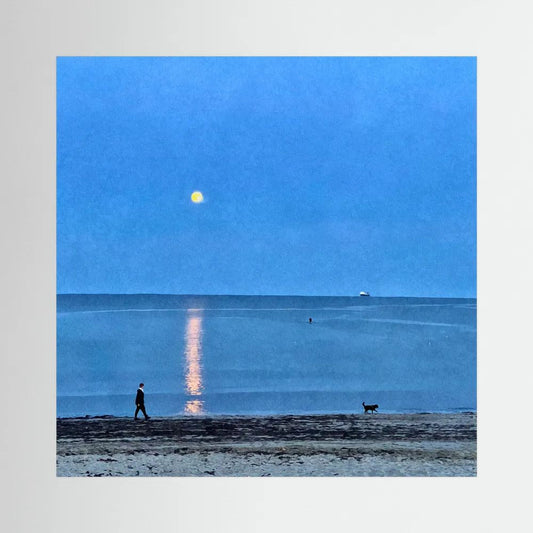 Moonlit Dog Walk Square Canvas