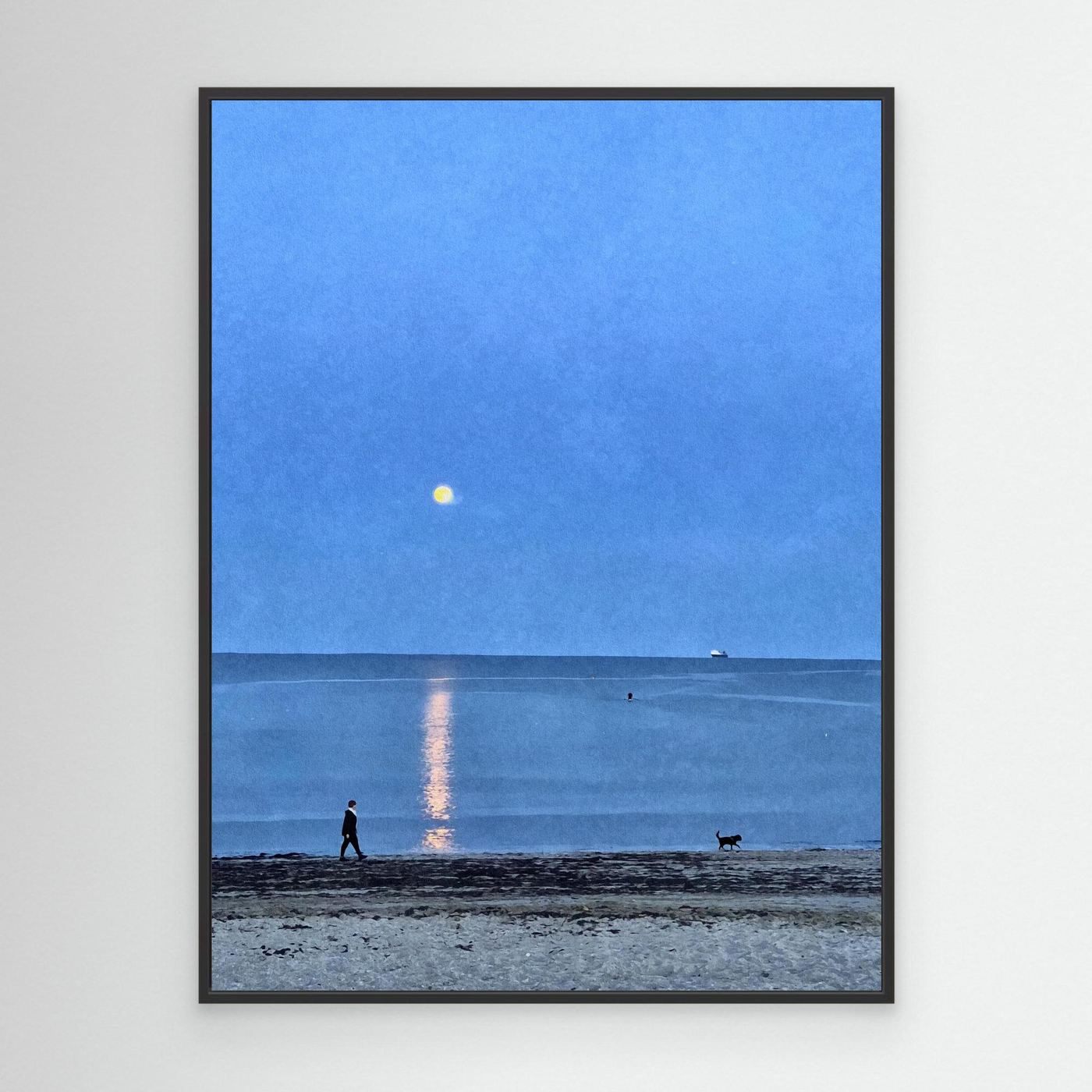 Moonlit Dog Walk at Swanpool Canvas Print