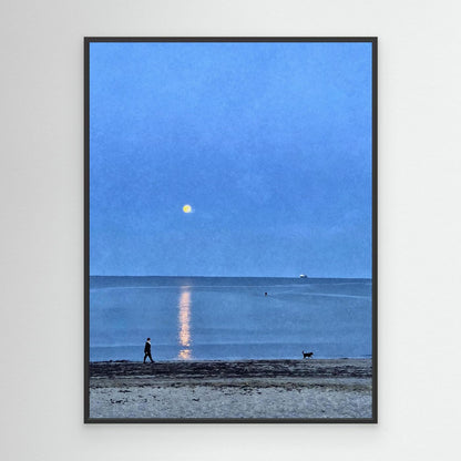 Moonlit Dog Walk at Swanpool Canvas Print