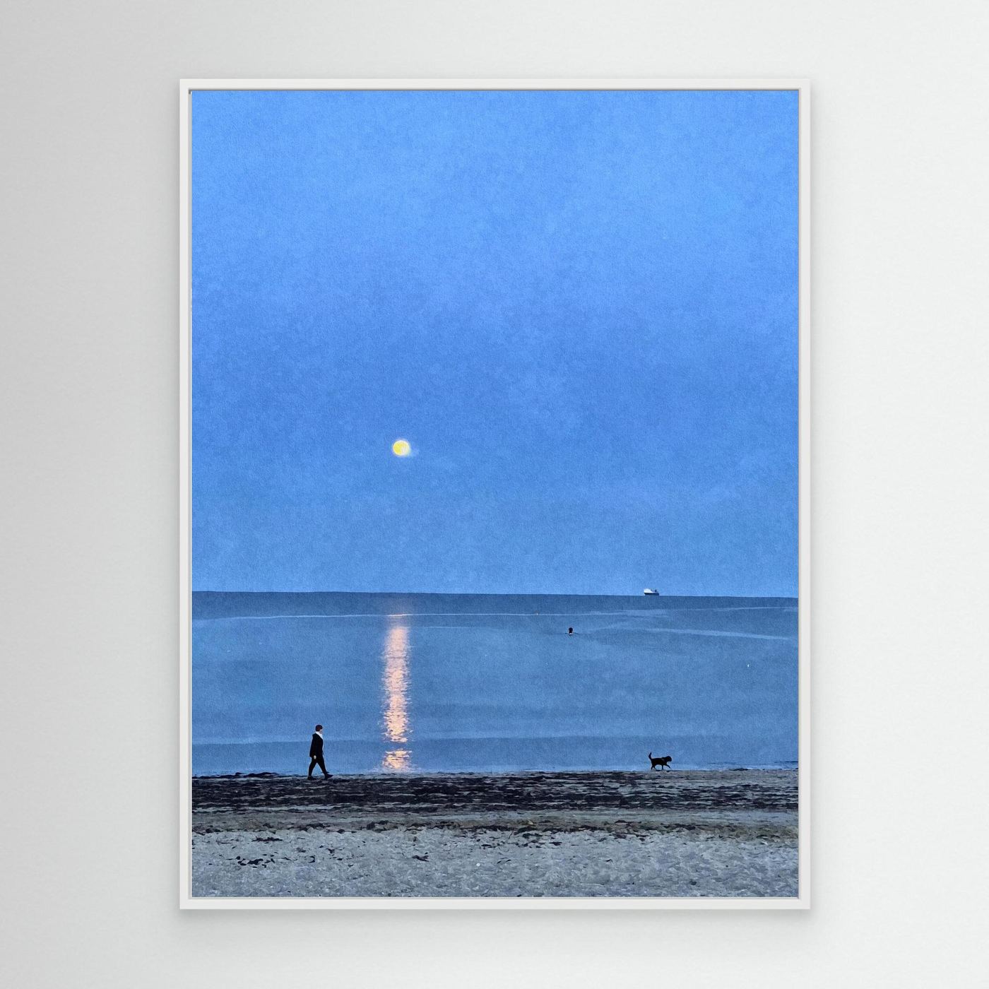 Moonlit Dog Walk at Swanpool Canvas Print