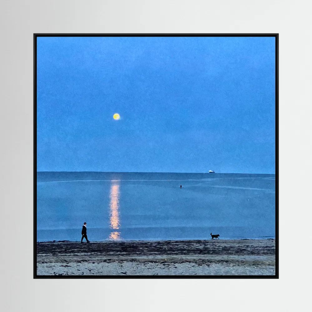 Moonlit Dog Walk Square Canvas