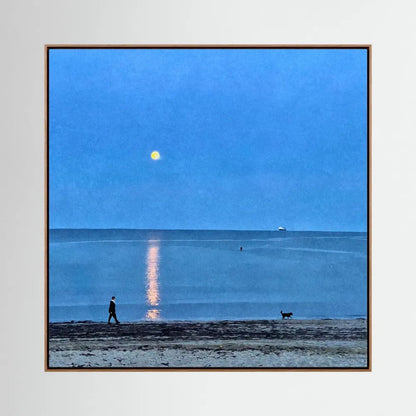 Moonlit Dog Walk Square Canvas