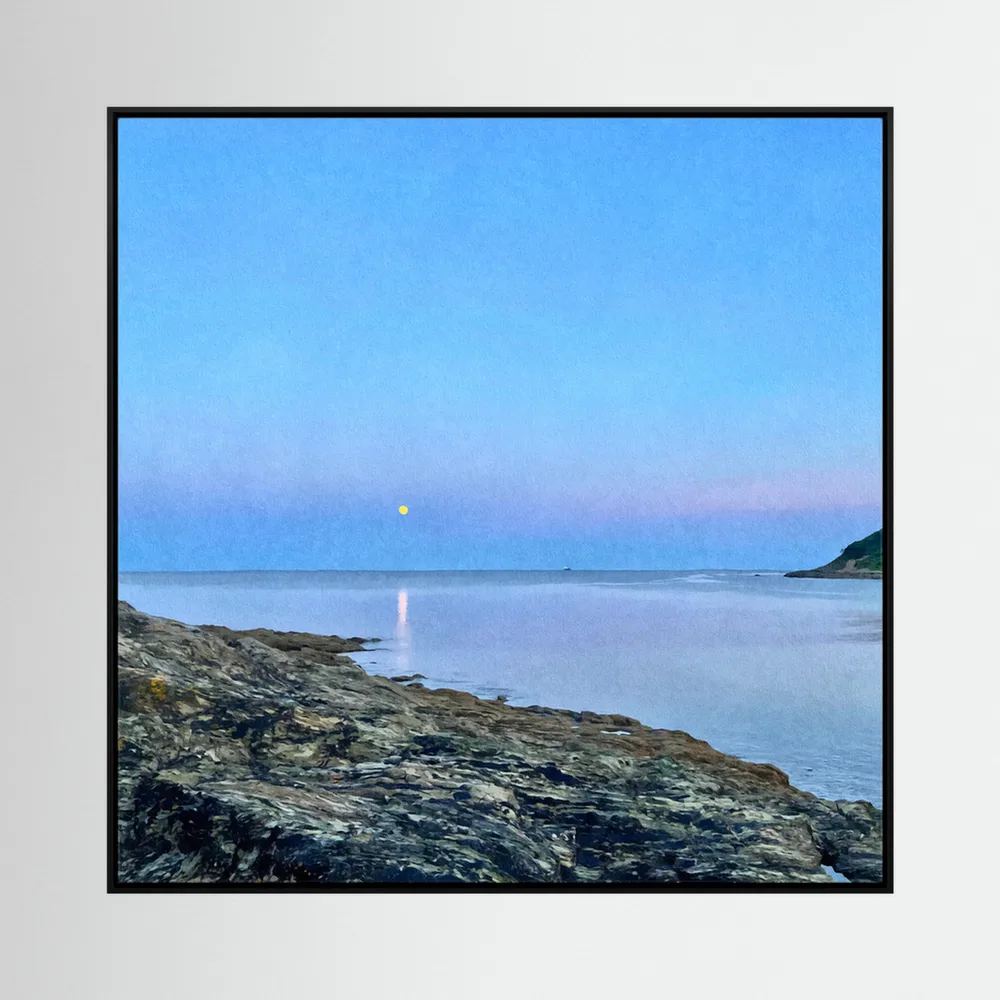 Swanpool Evening Moonrise Square Canvas