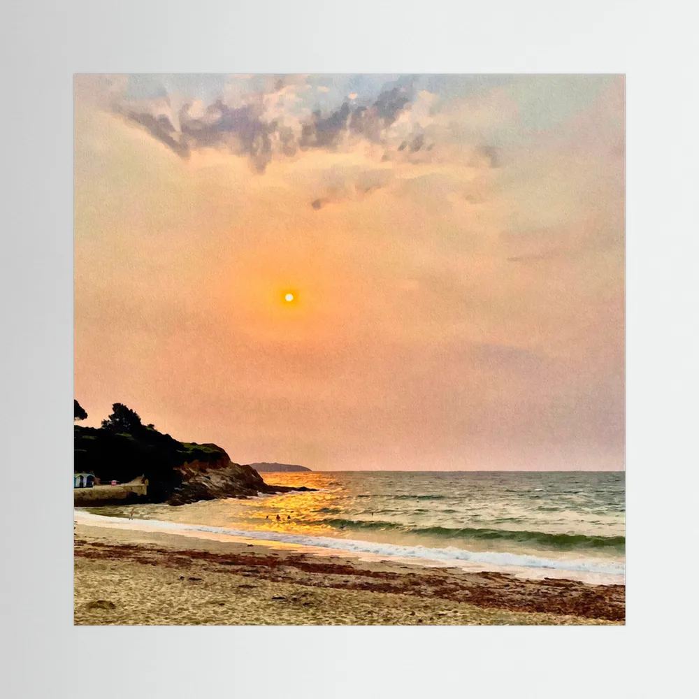Swanpool Saharan Sun Square Canvas