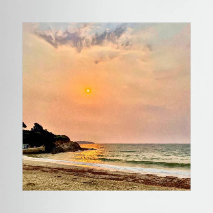 Swanpool Saharan Sun Square Canvas