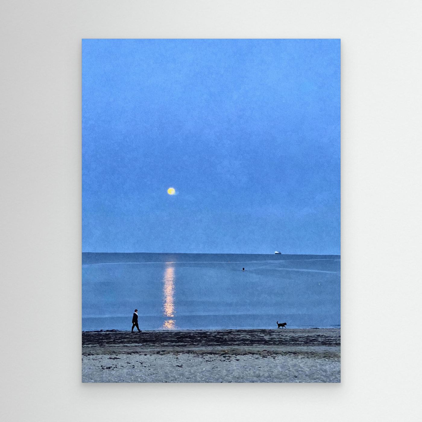 Moonlit Dog Walk at Swanpool Canvas Print
