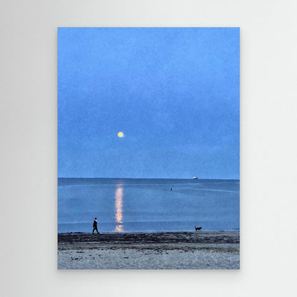 Moonlit Dog Walk at Swanpool Canvas Print